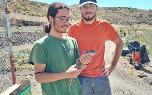 personas con lagarto