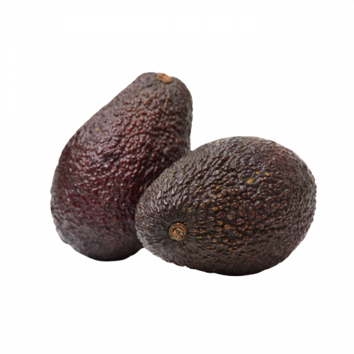 AGUACATE HASS- Aguacates ecológicos en Canarias